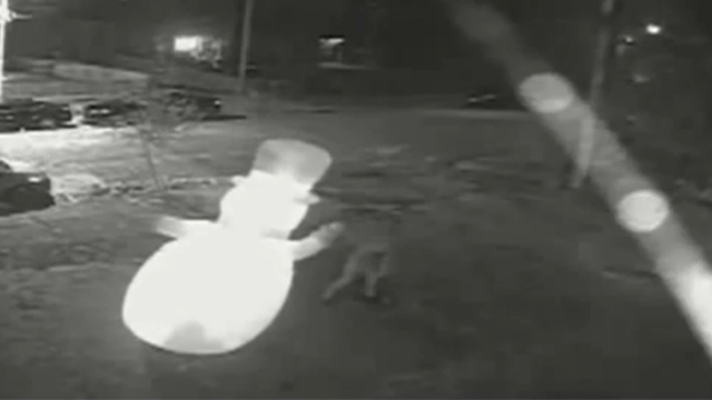 'Grinch' stabs Frosty the Snowman in St. Louis 'hit' caught on camera