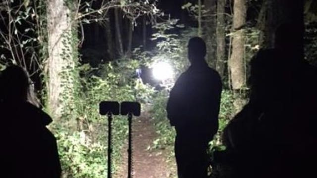 Detectives investigating suspected homicide after body found on wooded trail in Thurston County