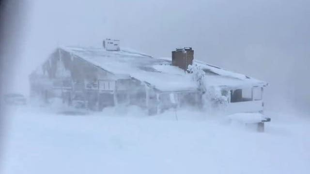 'It is like being sandblasted!' Blizzard shuts down Hurricane Ridge