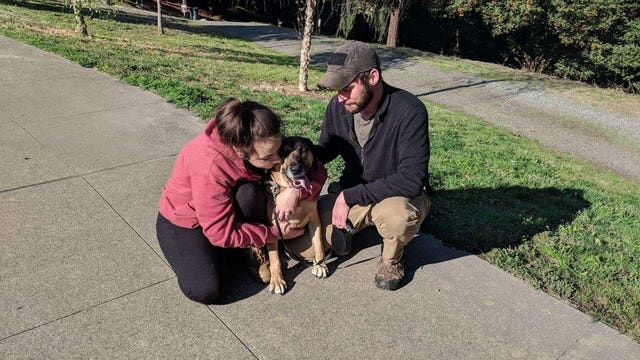 UPDATE: Dog, jeep stolen from Tacoma hospital parking lot found