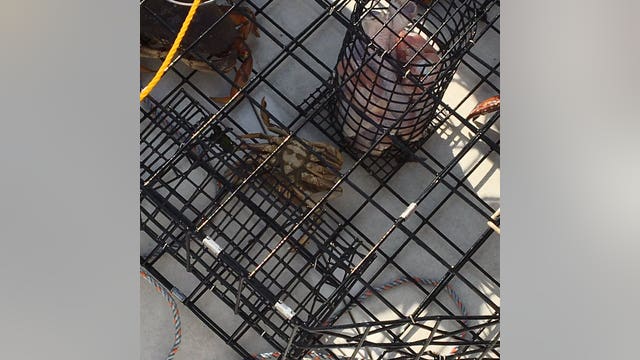 Park Ranger goes crabbing off Whidbey Island and finds Jesus
