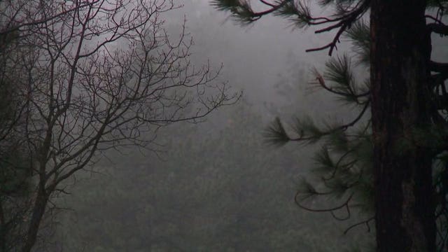 Son’s body found in mangled car after father receives GPS crash alert