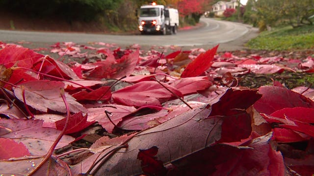 How you can help prevent storm drain clogs this fall