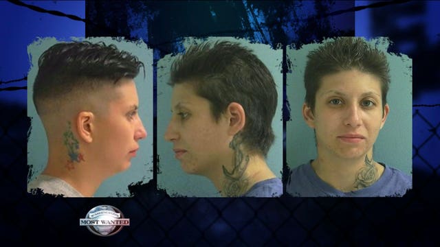 CAPTURED: Crime Stoppers tip leads to K9 arrest of DV fugitive hiding in attic in Yakima