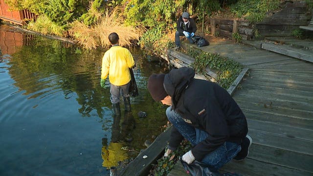 Touring band and volunteers help cleanup Lake Union