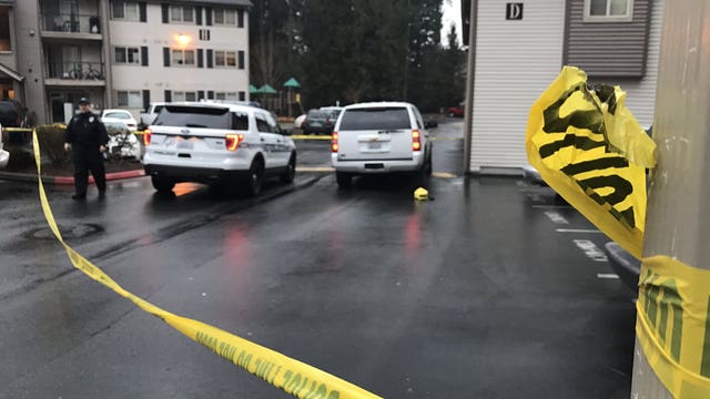 Mill Creek man gets 16 years for fatally stabbing wife