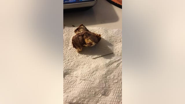 Marysville boy finds small, sharp nail in his Halloween candy bar