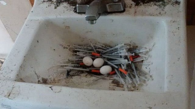 Police: Pigeon makes 'nest' of needles amid opioid crisis in Vancouver
