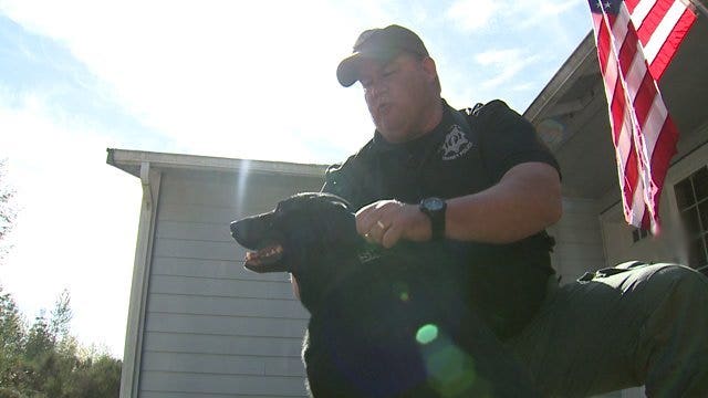 Pierce County sheriff's K-9 'Diego' dies just days after retiring due to cancer diagnosis