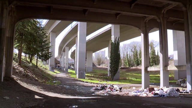Tacoma's homeless 'Jungle' growing under Interstate 705