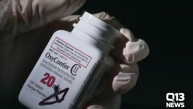 Summit kicks off to tackle illicit opioid market