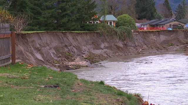 Skagit River swallows more than 100-feet of property