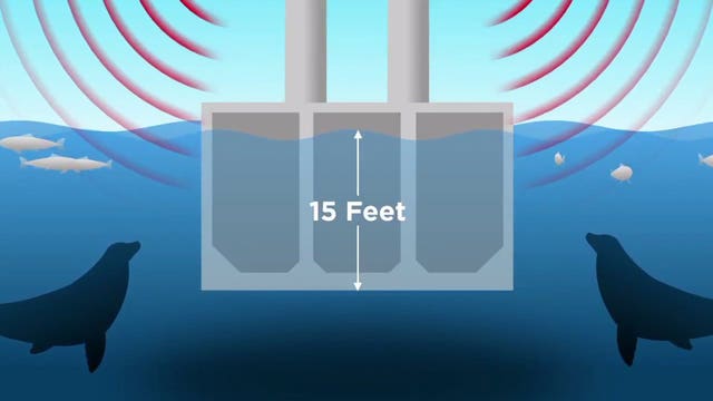 One of Washington's most iconic bridges may be hurting salmon