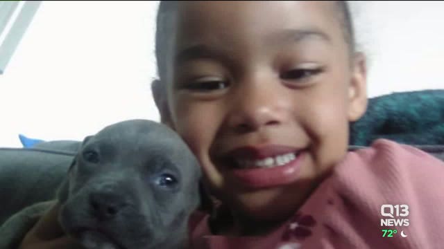 'Give me my puppy back!': Little girl tells how stranger walked up, stole family dog from sister