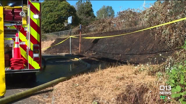 Kids playing outside likely cause for Renton wildfire