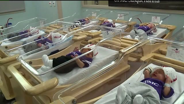 Little League's tiniest fans get ready for the Little League World Series