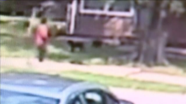 Cameras catch man shooting, killing 2-month old puppy outside Kansas City home