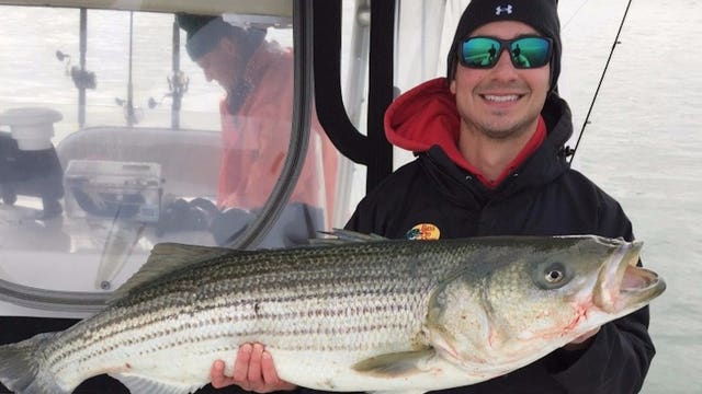 Man killed by 'brain-eating amoeba' after swimming in Texas wave pool