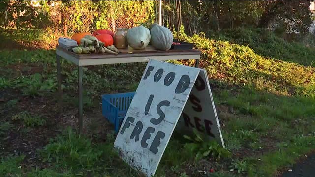 Tacoma man launches 'Food is Free' project after learning his neighborhood is a food desert
