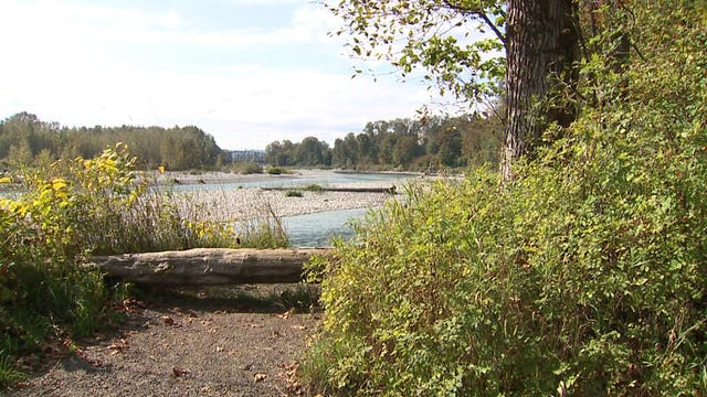 Police: Woman sexually assaulted at park in Monroe
