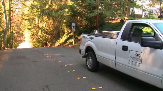 Deputies searching for suspect after woman assaulted in Edmonds park