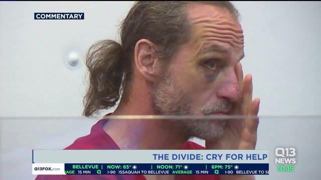 The Divide: Cry for Help