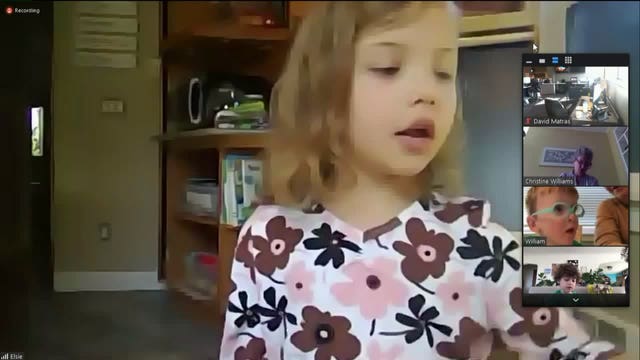 This could be America's cutest Zoom video conference