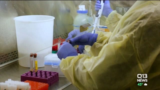 University of Washington double-study looking at answers for COVID-19