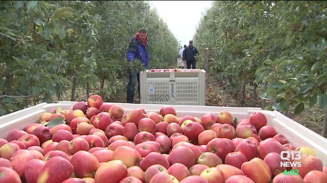 Industry leaders say food not scarce despite COVID-19 infections locally, nationally