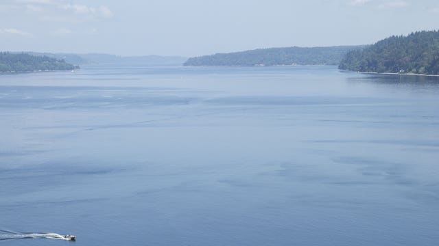 Washington halts recreational fishing, Oregon closes salmon and steelhead fisheries