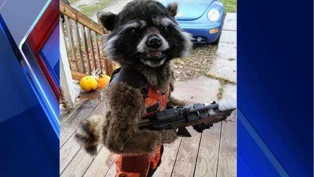 Mom's costume creation goes viral, 'wins' Halloween 2015