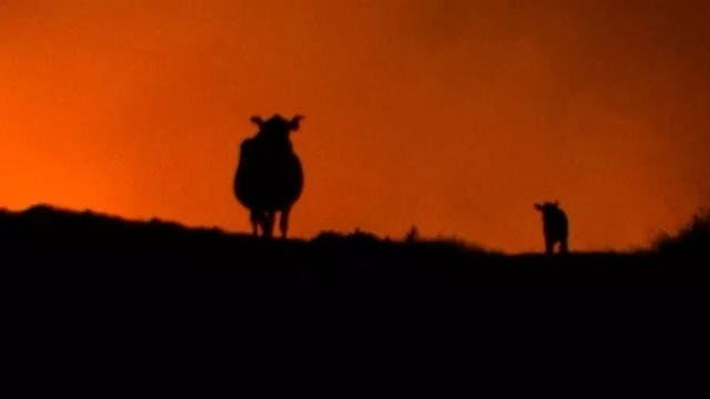 Oregon wildfire nearly triples in size; threatens structures