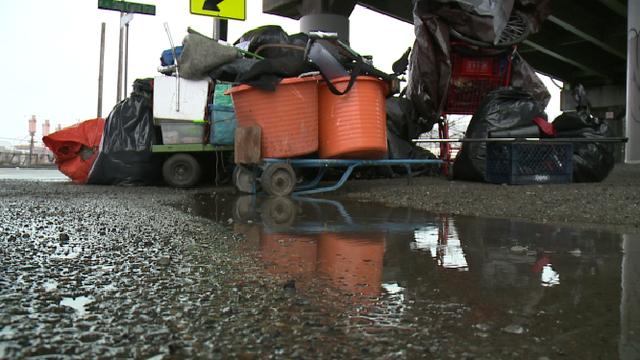 Another week, another Seattle homeless camp sweep