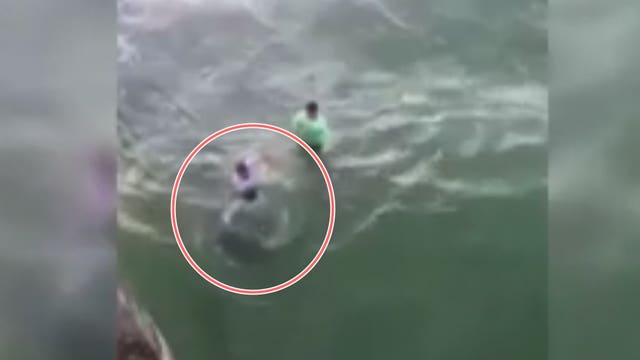 Video shows shark biting man at North Carolina beach