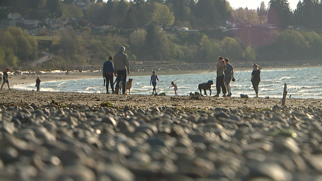 Everett asks community to use parks responsibly