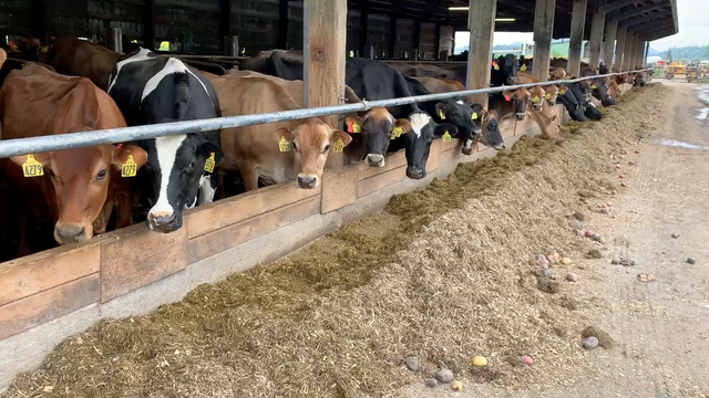 Farmer: Food is a national security issue, coronavirus breaking supply chain