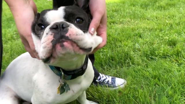 Pierce County investing millions in relief to businesses