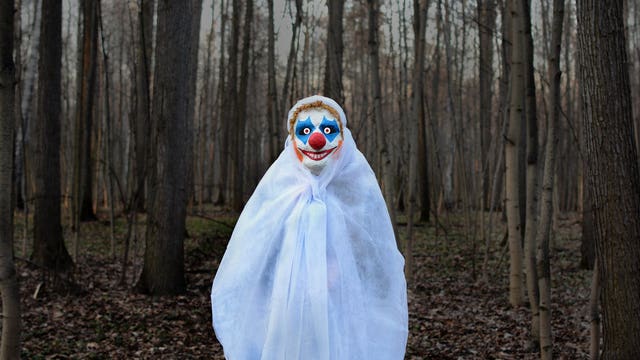 Snohomish County Sheriff's Office: Walking around in public in a clown costume is not a crime