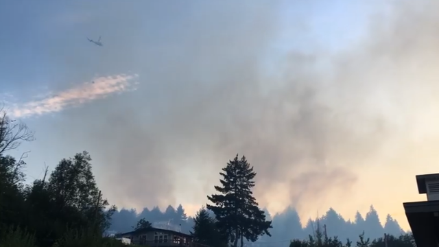 Official: Busy wildfire season will be impacted by pandemic