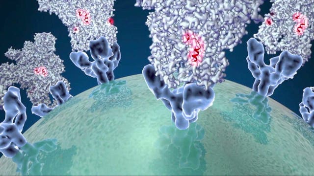 The Divide: Misinformation & Disinformation