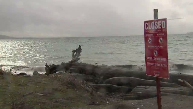Flooded wastewater plant relying on sewage-eating bugs