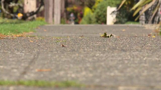 Police: Homeless woman repeatedly stabs West Seattle mom walking infant in stroller