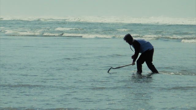 Oregon closes more coastal shellfish harvesting due to 'historic high levels' of toxins