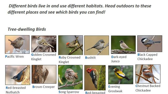 Point Defiance Zoo, Northwest Trek offer online learning, scavenger hunts for kids