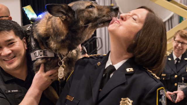 SPD's first female K9 retires after nearly 8 years of service