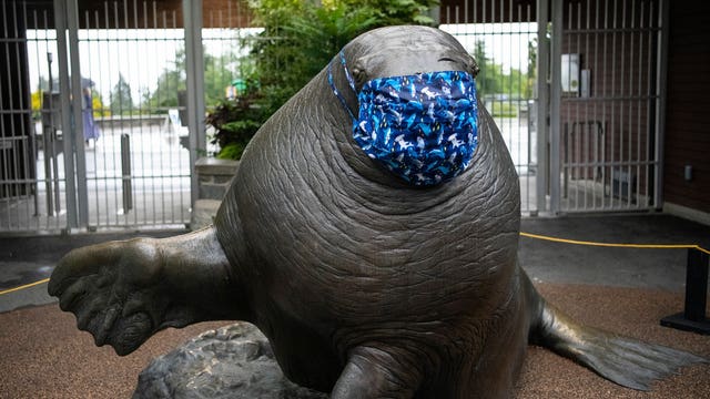 Point Defiance Zoo, Northwest Trek reopen with new safety measures