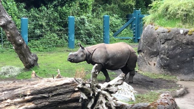 The most "poopular" compost in the Pacific Northwest to be awarded to lottery winners