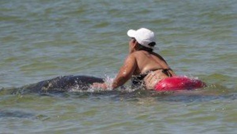 Woman riding manatee