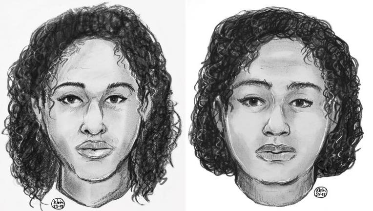 Police released a sketch of the two women found laying on rocks near the Hudson River off of Riverside Park. (DCPI)