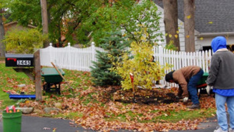 late fall gardening